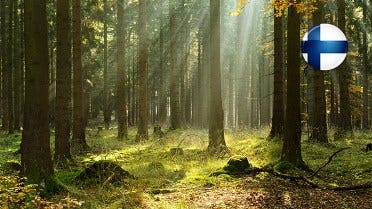 The Finnish Contribution to the Success of Woodworking Products